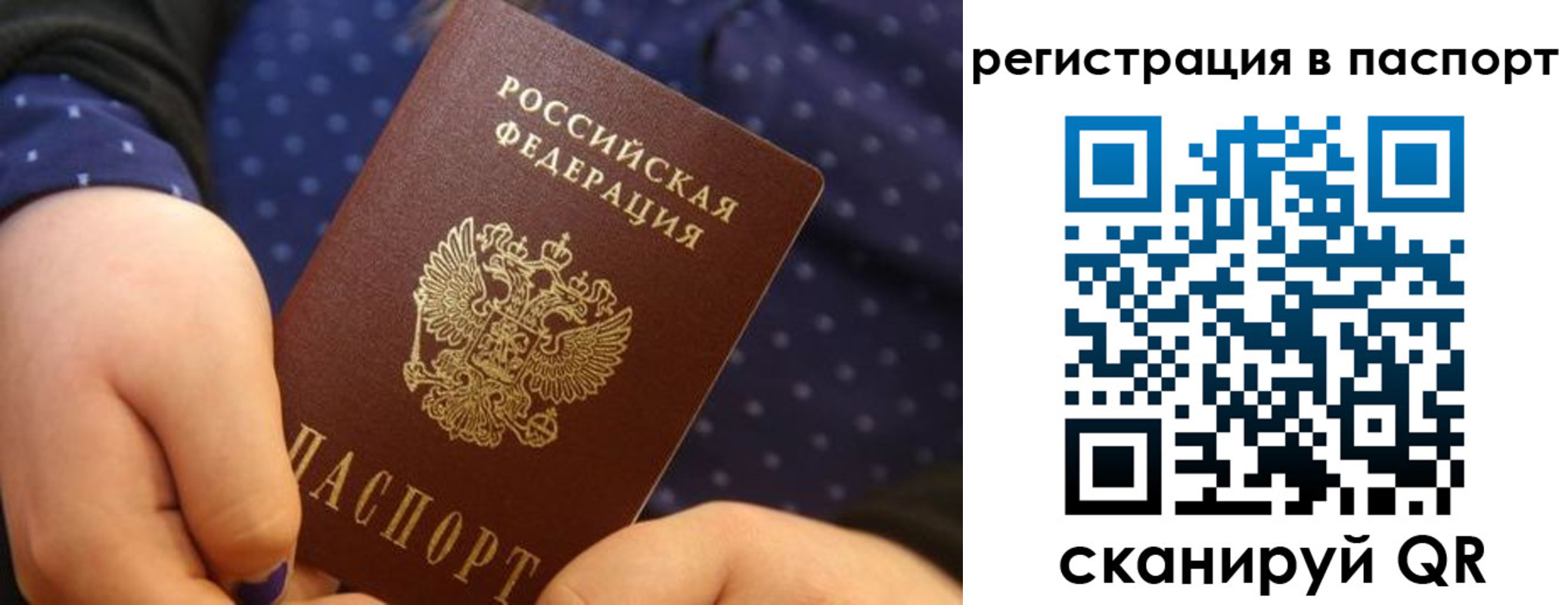 регистрация для дет. сада в Луге